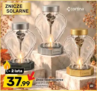 Znicz solarny serce cortina