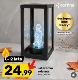 Bricomarche Latarenka solarna oferta