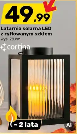 Bricomarche Latarnia solarna LED z ryflowanym szkłem oferta