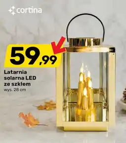 Bricomarche Latarnia solarna LED ze szkłem oferta