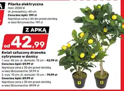 Bricomarche Kwiat sztuczny drzewko cytrynowe w donicy oferta