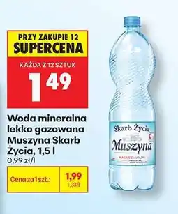 Biedronka Woda mineralna lekko gazowana Muszyna Skarb Życia, 1,5 l oferta