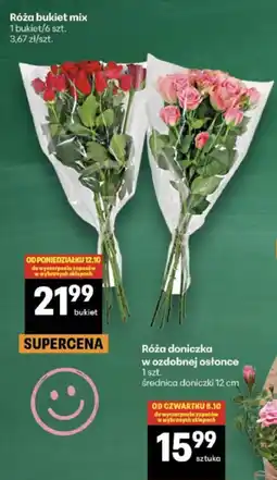 Delikatesy Centrum Róża bukiet mix oferta