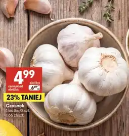 Delikatesy Centrum Czosnek oferta