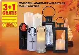 Biedronka Świeczki, latarniki i wkłady led marki cortina oferta