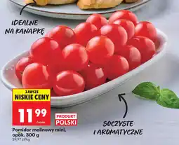 Biedronka Pomidor malinowy mini oferta