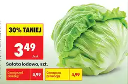 Biedronka Sałata lodowa oferta