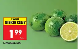 Biedronka Limonka oferta