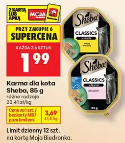 Biedronka Karma dla kota Sheba oferta