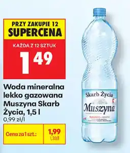 Biedronka Woda mineralna lekko gazowana Muszyna Skarb Życia oferta