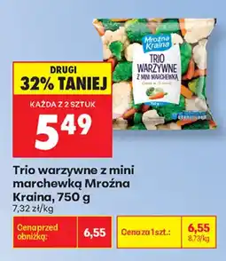 Biedronka Trio warzywne z mini marchewką Mroźna Kraina oferta