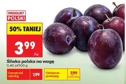 Biedronka Śliwka polska oferta