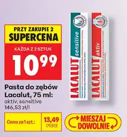 Biedronka Pasta do zębów Lacalut oferta
