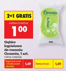 Biedronka Gąbka kąpielowa do masażu Oceania oferta