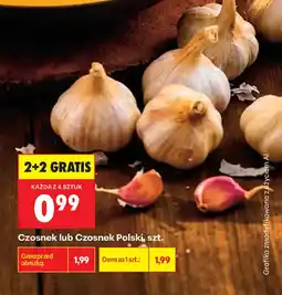 Biedronka Czosnek lub Czosnek Polski oferta