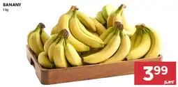 Stokrotka Banany oferta