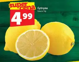 Topaz Express Cytryna oferta