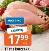E.Leclerc Filet z kurczaka oferta
