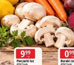E.Leclerc Pieczarki luz ADM Trade oferta