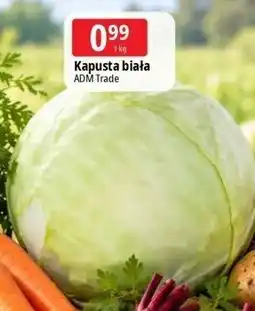 E.Leclerc Kapusta biała ADM Trade oferta