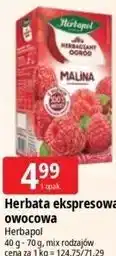 E.Leclerc Herbata ekspresowa owocowa Herbapol oferta