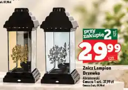 Topaz Express Znicz Lampion Drzewko Abramowski oferta