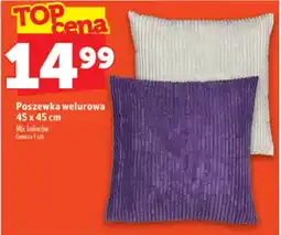 Topaz Express Poszewka welurowa oferta