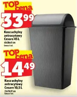 Topaz Express Kosz uchylny antracytowy Cesare oferta