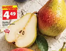 Topaz Express Gruszka Konferencja/Lukasówka oferta
