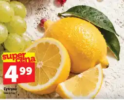 Topaz Express Cytryna oferta