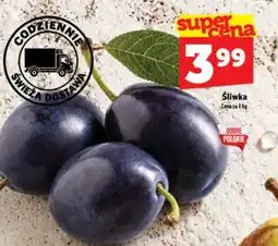 Topaz Express Śliwka oferta