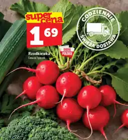 Topaz Express Rzodkiewka oferta