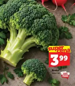 Topaz Express Brokuł oferta