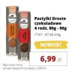 Torimpex Pastylki Droste czekoladowe oferta
