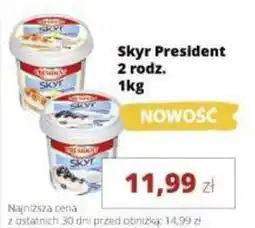 Torimpex Skyr President oferta