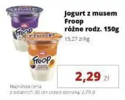 Torimpex Jogurt z musem Froop oferta
