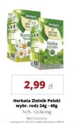 Torimpex Herbata Zielnik Polski oferta