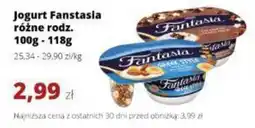 Torimpex Jogurt Fantasia oferta