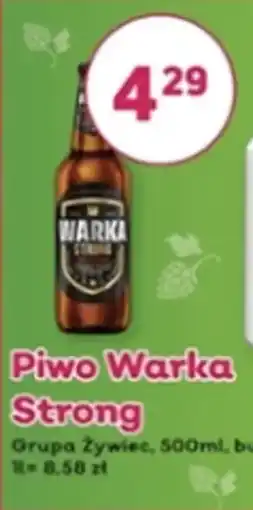 Bliski Piwo Warka Strong oferta