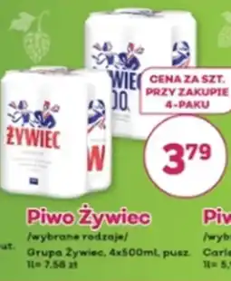 Bliski Piwo Żywiec oferta