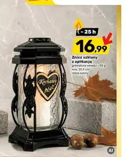 Bricomarche Znicz oferta