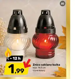 Bricomarche Znicz oferta