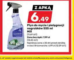 Bricomarche Płyn do mycia nagrobków mill oferta