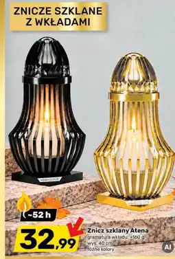 Bricomarche Znicz oferta