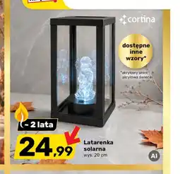 Bricomarche Latarenka solarna Cortina oferta
