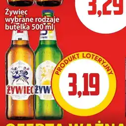 Kupiec Piwo Żywiec Premium oferta