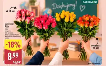 ALDI Bukiet róż Gardenline oferta