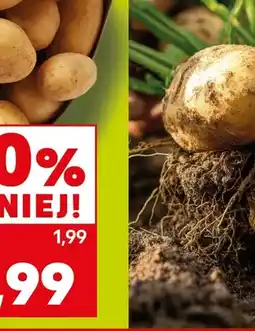 Kaufland Ziemniaki oferta