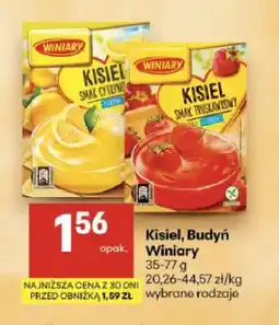 Delikatesy Centrum Kisiel smak cytrynowy Winiary oferta