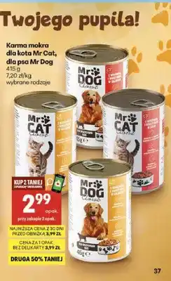 Delikatesy Centrum Karma mokra dla kota z kurczakiem i warzywami w galaretce Mr Cat oferta